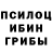 Галлюциногенные грибы Psilocybine cubensis Ashley Parker