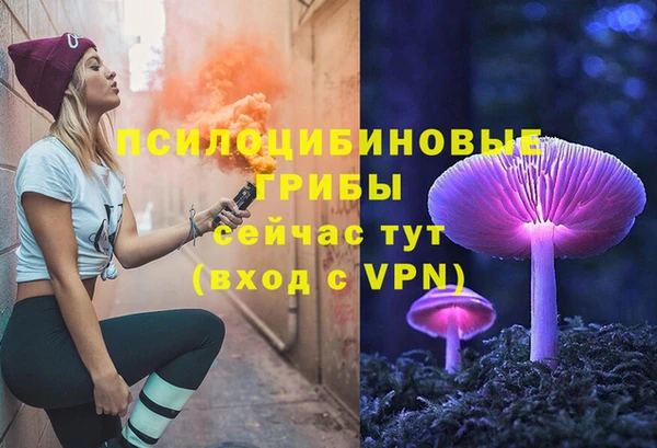 ALPHA PVP Алексеевка
