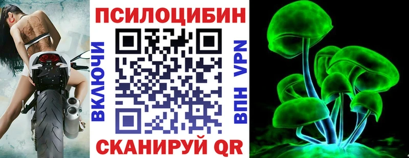 как найти закладки  Кудрово  Галлюциногенные грибы MAGIC MUSHROOMS 
