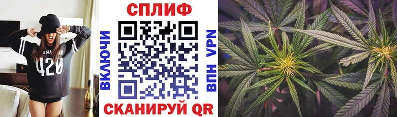 Канабис конопля Кудрово
